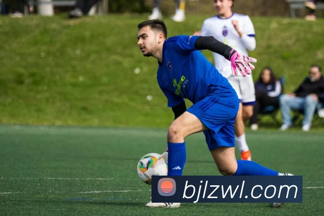 百家乐网站平台生态图